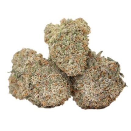 Ayahuasca Purple