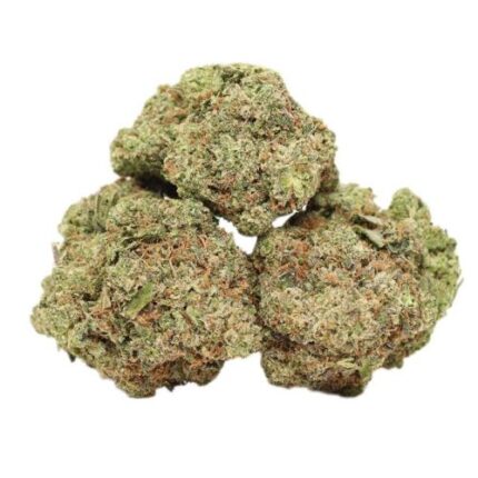 Comatose OG