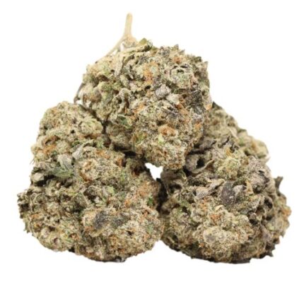 Dank Sinatra
