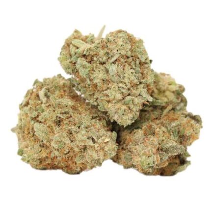 Starbud